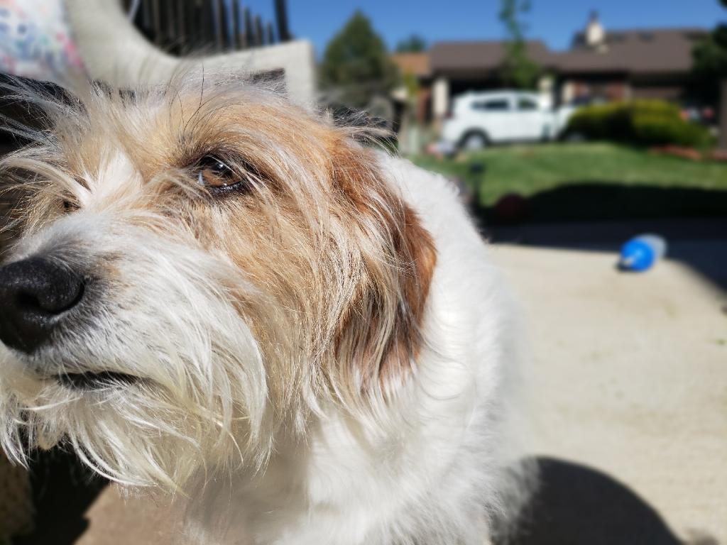 929DB425-A3FD-4743-9CF9-4A62F035B8F2